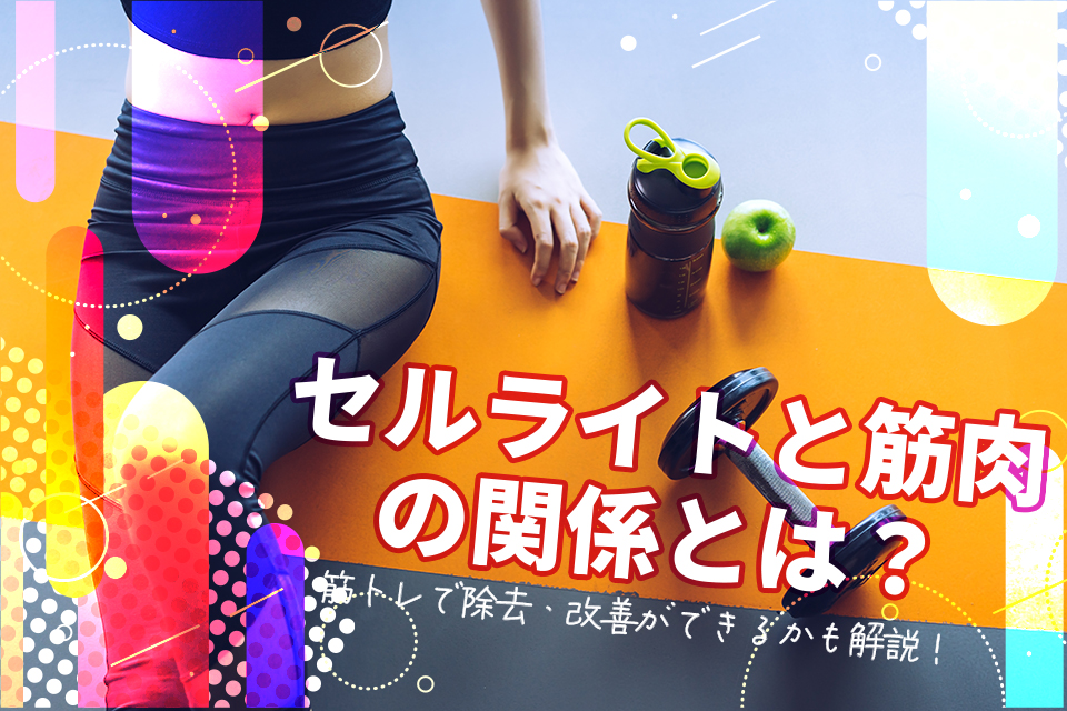 セルライトと筋肉の関係とは？筋トレで除去・改善ができるかも解説！