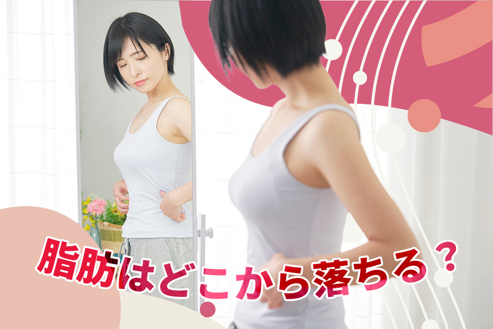 脂肪はどこから落ちる？順番と理由、部分痩せの真実まで解説